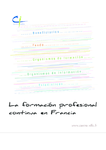 La formacion profesional continua en Francia