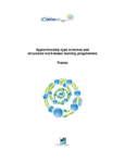 Apprenticeship-type schemes and structured work-based learning programmes – France