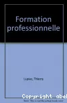 Formation professionnelle