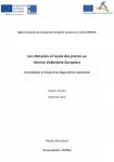 Les obstacles à l'accès des jeunes au Service Volontaire Européen - Rapport d'étude + Synthèse ; contribution à l'étude d'un dispositif de volontariat