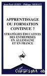 Apprentissage ou formation continue ?