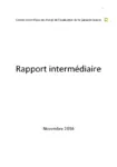 Rapport intermédiaire du Comité scientifique en charge de l'évaluation de la Garantie Jeunes