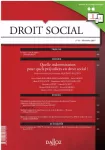 Droit social, n°11 - novembre 2017 - Quelle indemnisation pour quels préjudices en droit social ? (dossier)