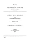 Projet de rapport d'information sur l'application de la loi 97-940 du 16 octobre 1997 relative au développement d'activités pour l'emploi des jeunes