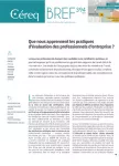 Céreq bref, n°394 - septembre 2020 - Que nous apprennent les pratiques d'évaluation des professionnels d'entreprise ?