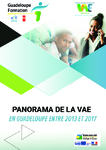 Panorama de la VAE en Guadeloupe entre 2013 et 2017